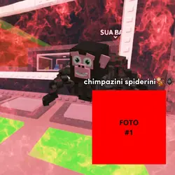 Chimpazini spiderini