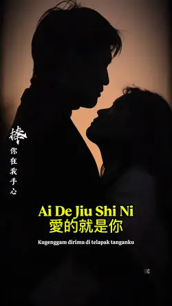 Ai De Jiu Shi Ni
