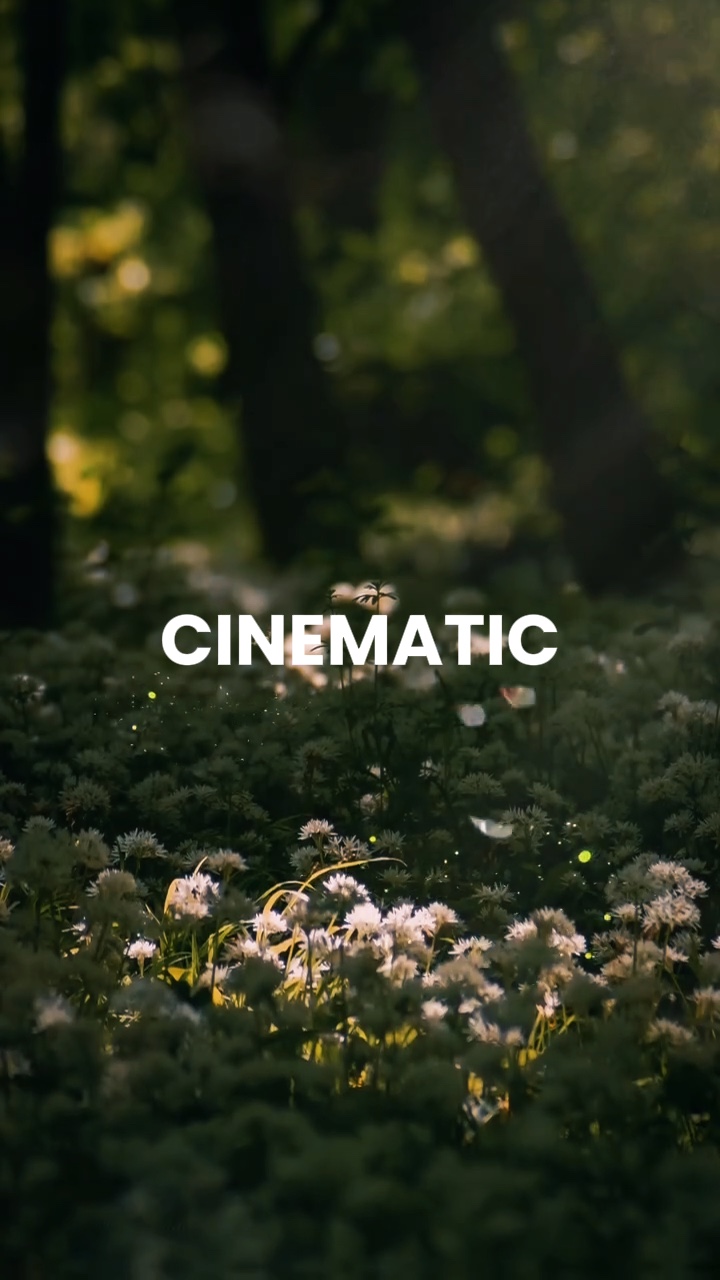 CINEMATIC