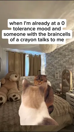 crayon talks to me 
