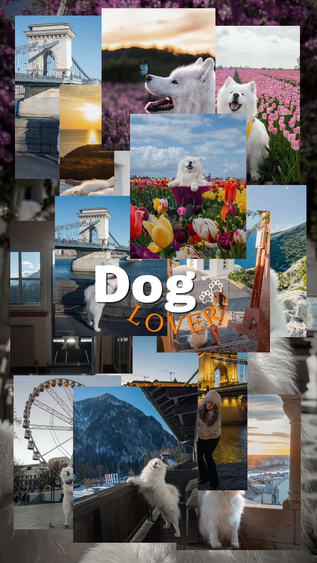DOG LOVER