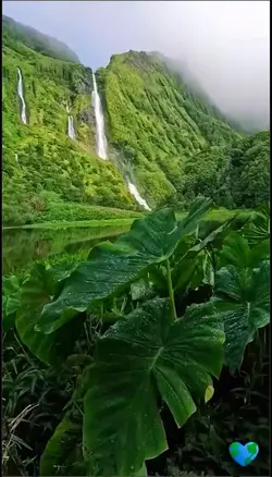 beautiful view