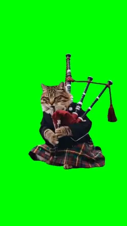 Cat Bagpipes