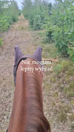 najlepszy koń