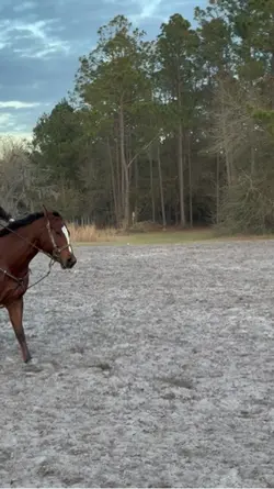 love you playboy. 🫶🏼