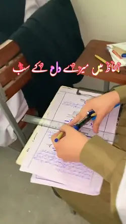 الفاظ میں میرے دل کے