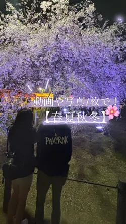 写真動画1枚で🌸