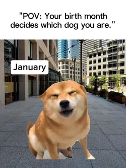 Monthly Doggo