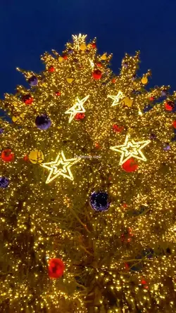 christmas time