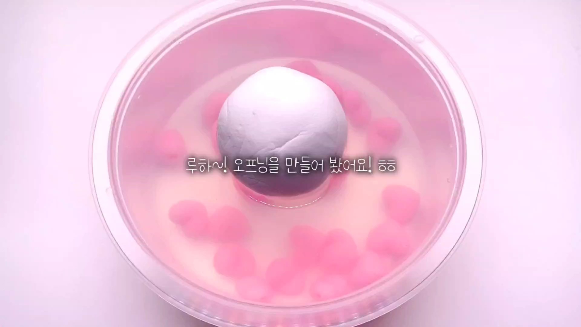 공론화 사과문 100자