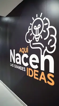 divulgue seu negócio