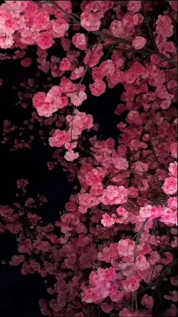 3D WALLPAPER