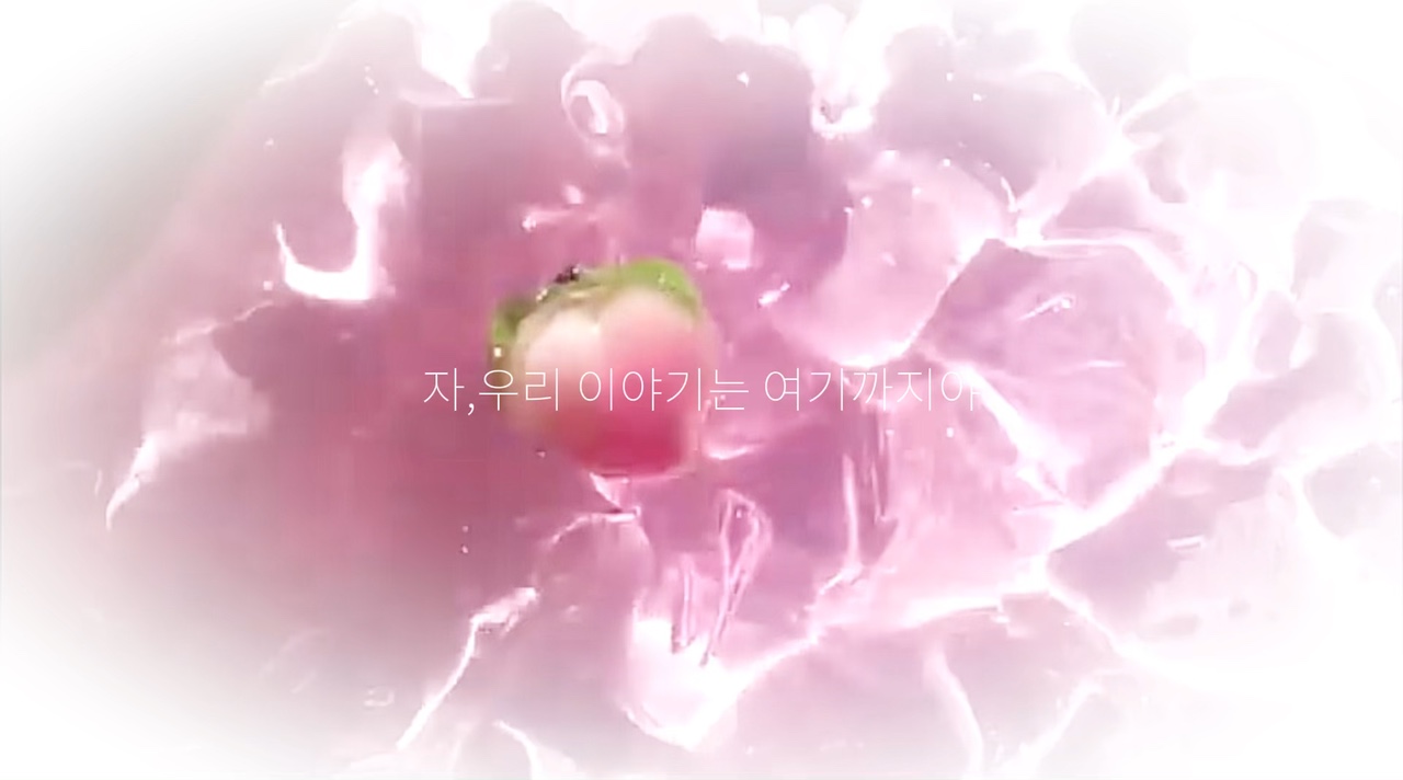 자 우리 여행은 여기까지야.
