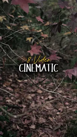 8 Video Clips