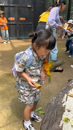 🏡🌿กะกลัวที่ไหน…🦒🦒🦒🦜🦜🦜