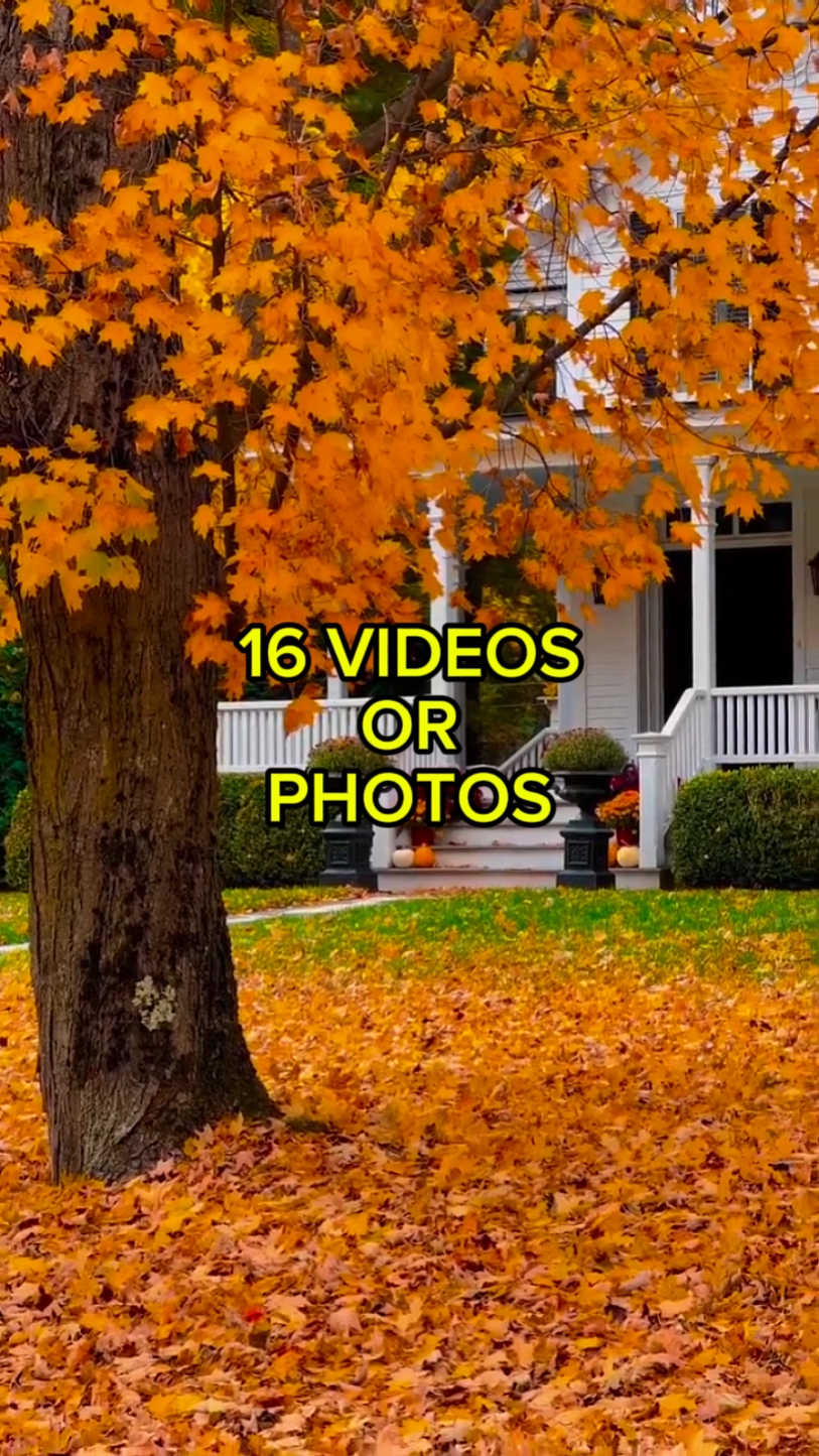 Autumn seasons