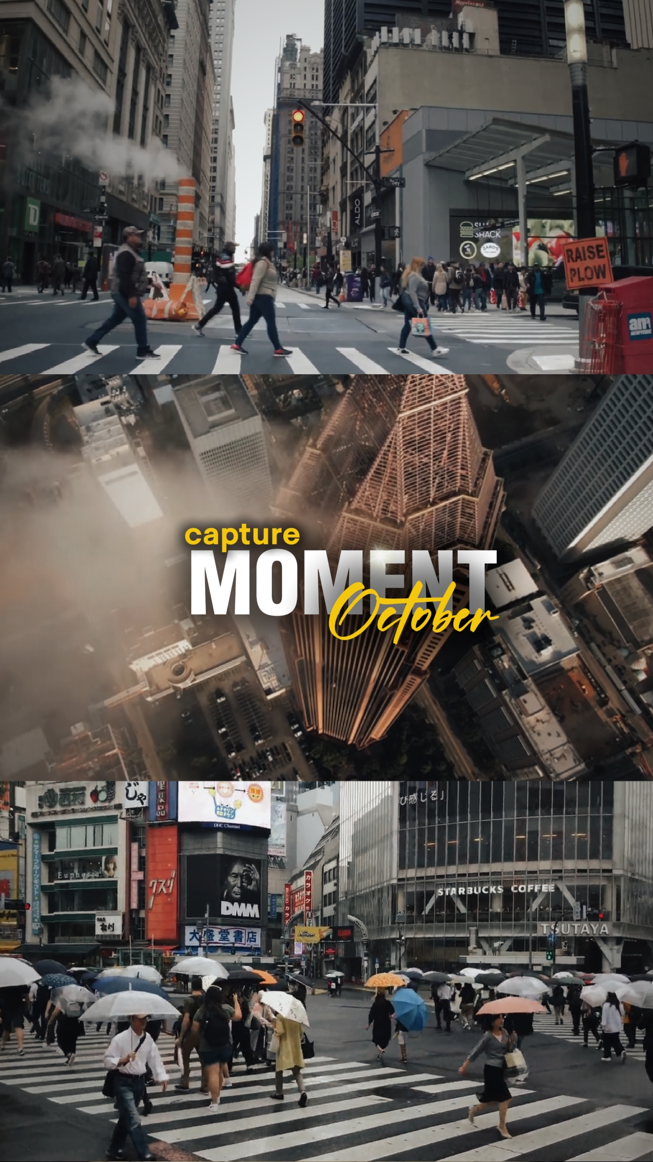 capture moment oct