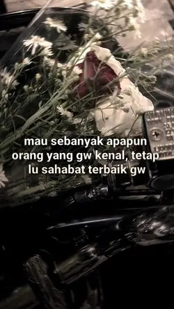 lu shbt terbaik