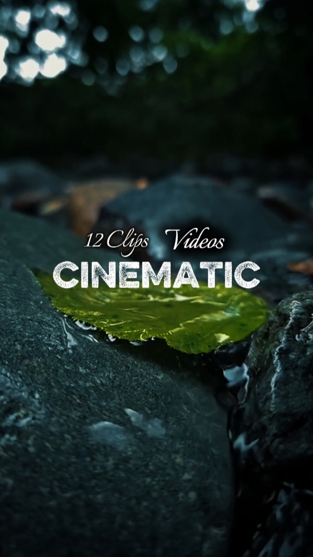 CINEMATIC 12 VIDEOS 
