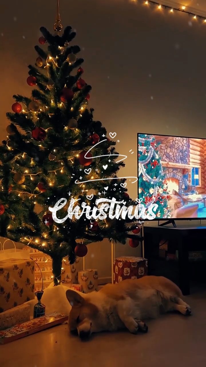 Feliz Navidad 