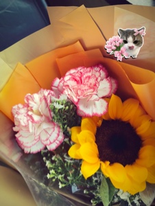 Flores