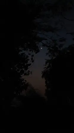 Bulan Malam