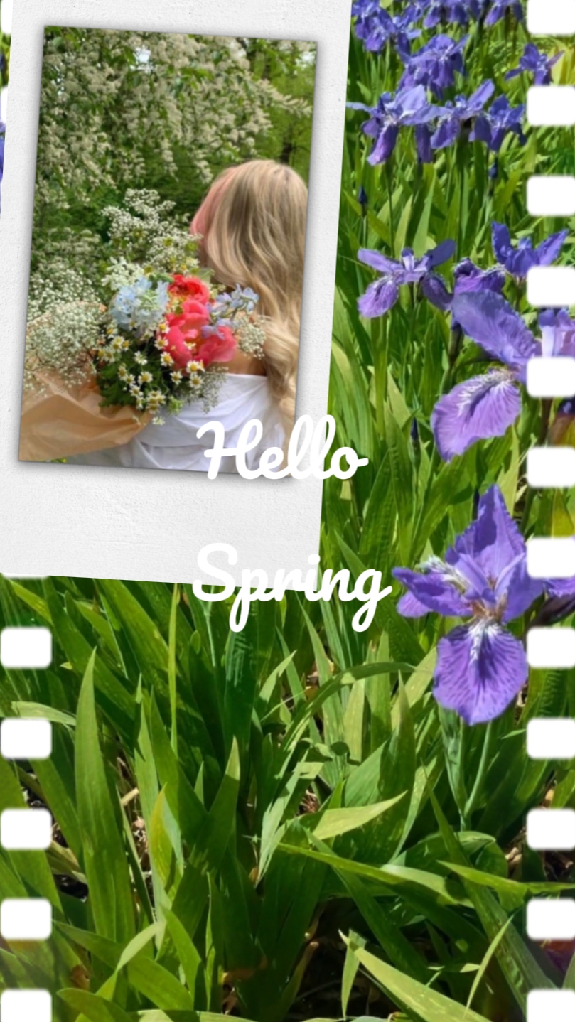 Hallo Frühling