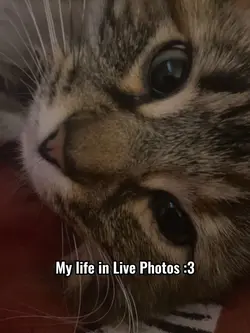 Me in Live Photos ><