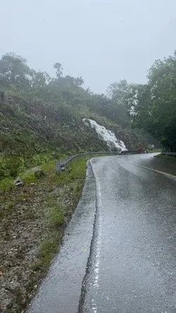 បូកគោ🏞️