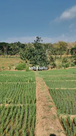 satu satu aku sayang