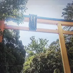 氷川神社写真4枚