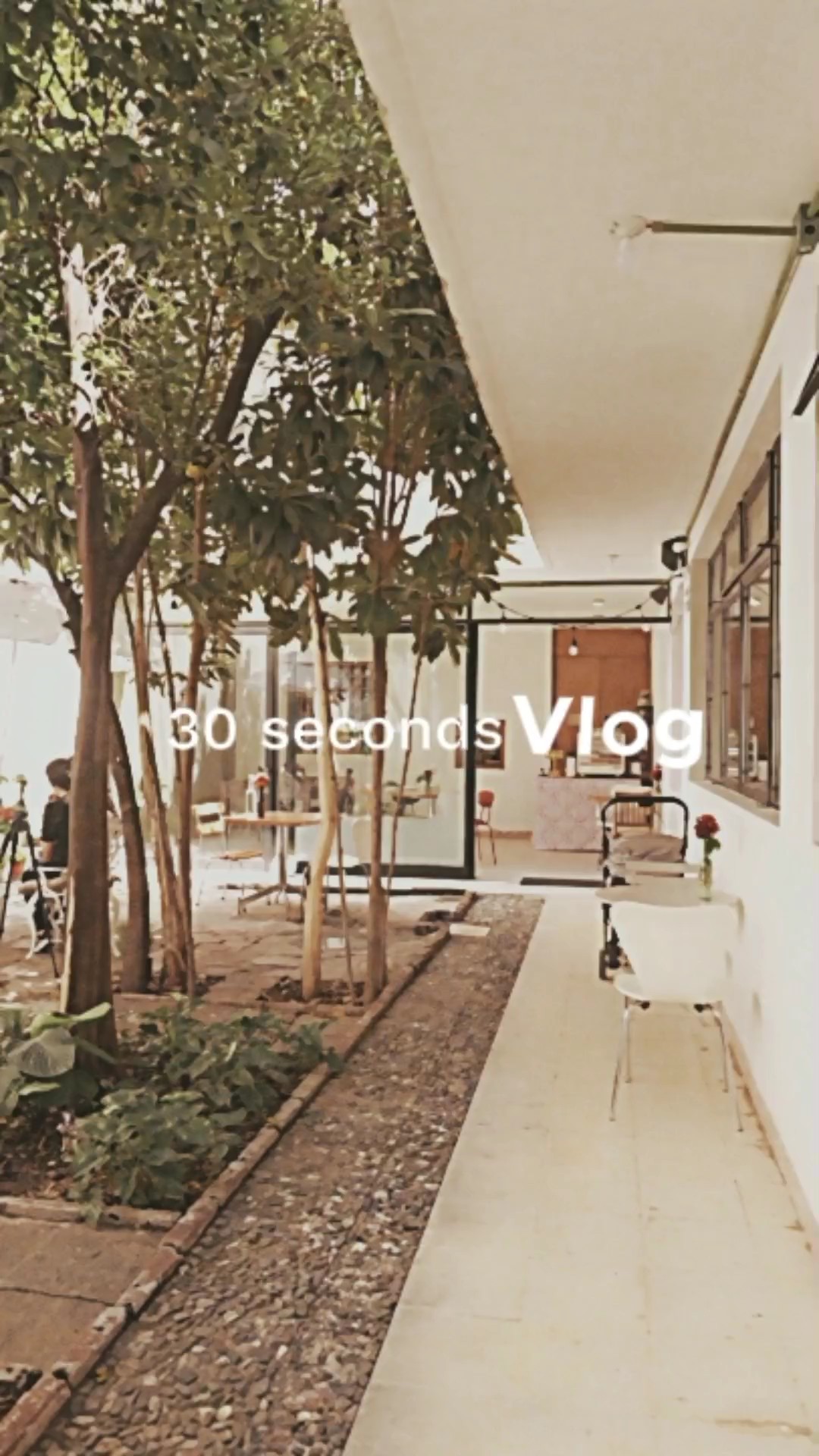 VLOG 30