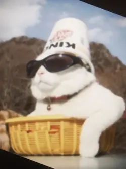 nevada remix