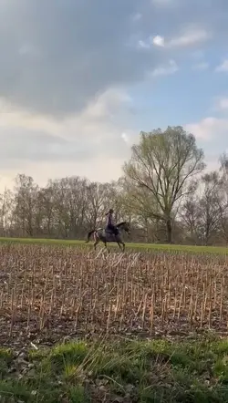 fetzen mit Jackiebby