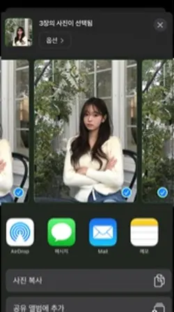 사진 공유