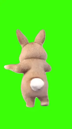 Rabbit/Coelho.