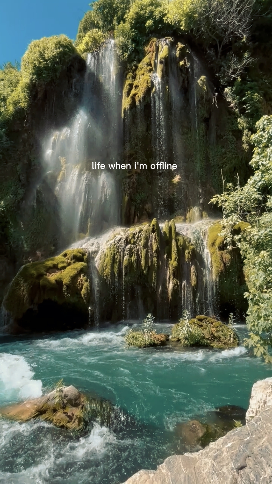 natures 