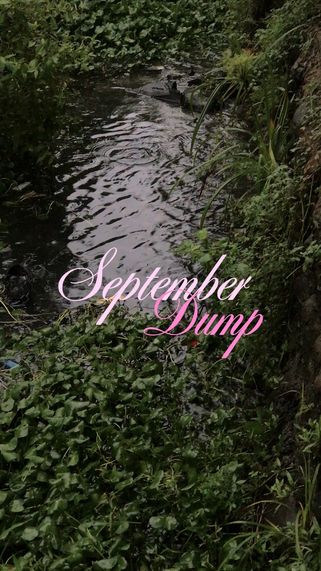 september template