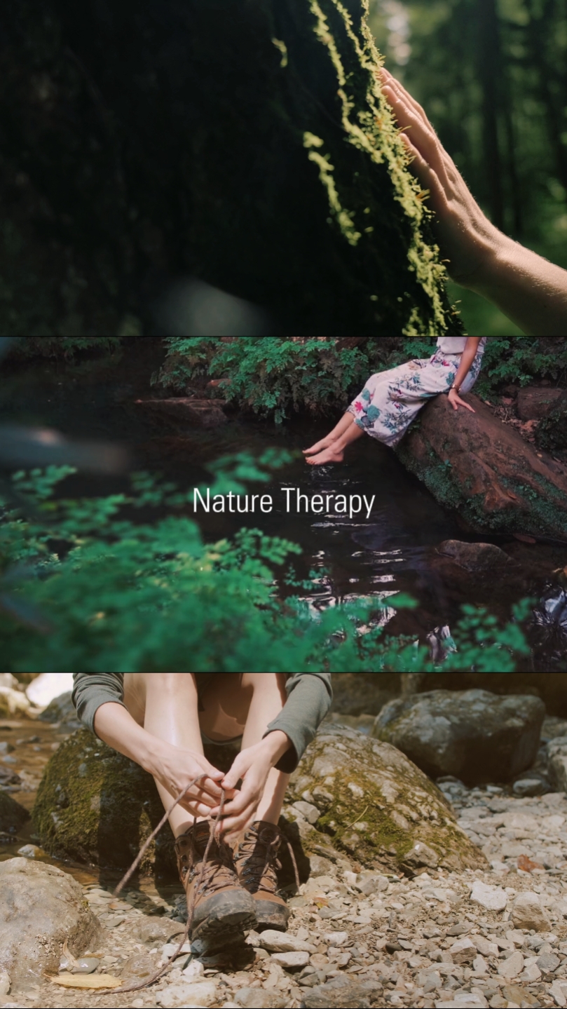 Terapia De Naturaleza 