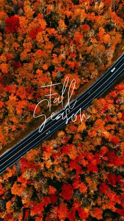Fall season