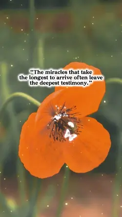 DEEPEST TESTIMONY