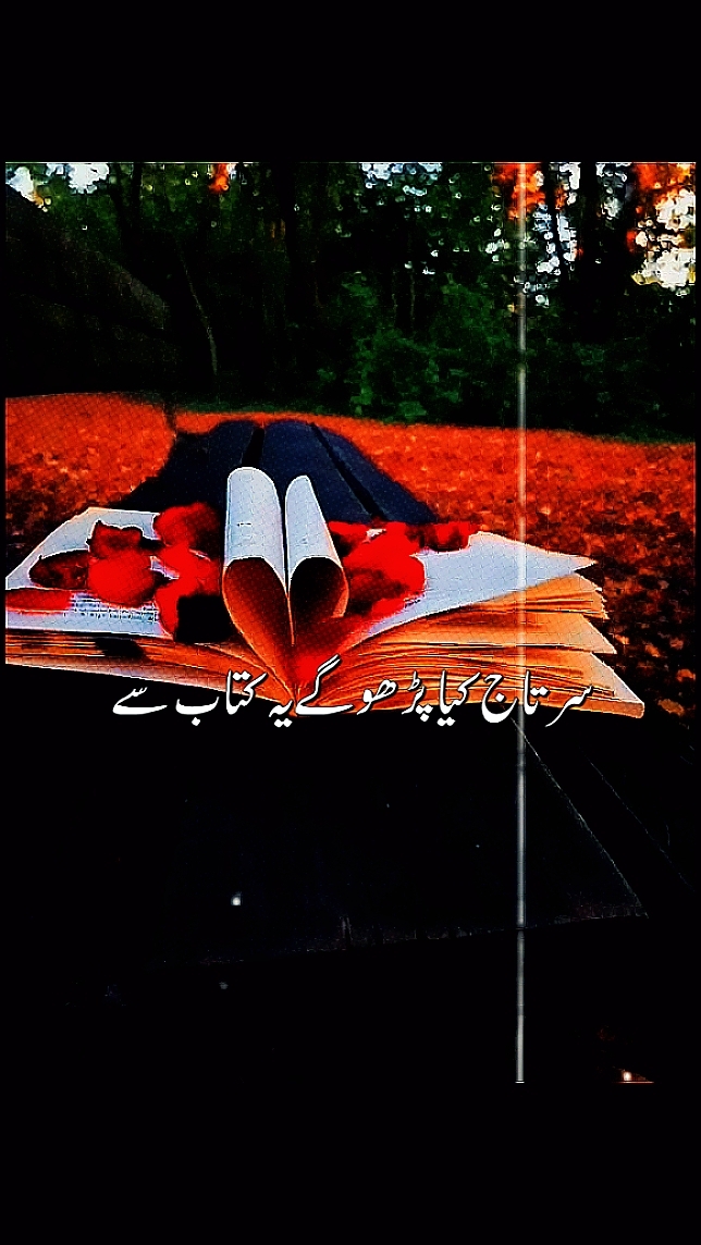 کیا پرھوگےیہ کتاب سے