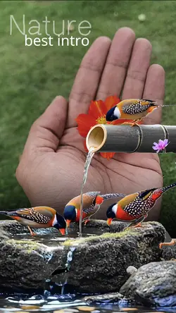 Nature Best Intro