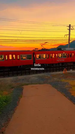 little moments🌻