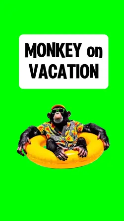 MONKEY on VACATION