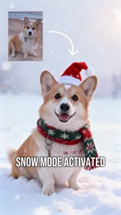 Winter Pet Magic