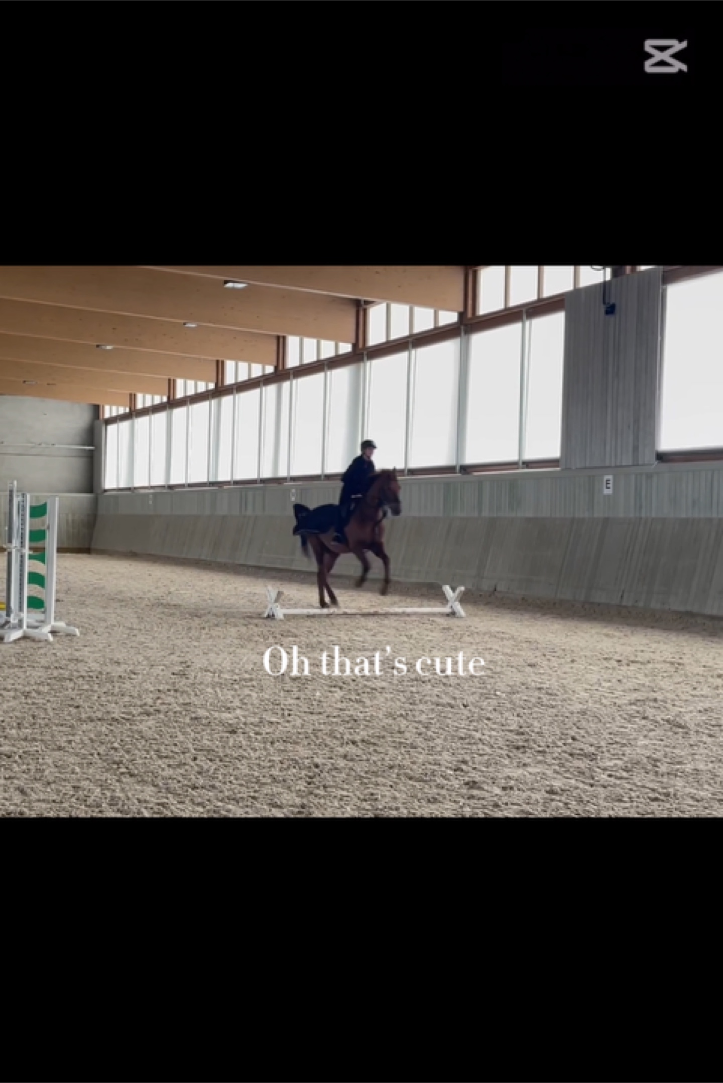 I control an 800 kg🐎