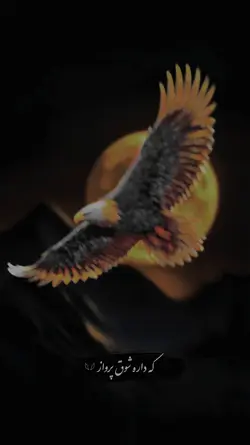 احی گل بی وفا