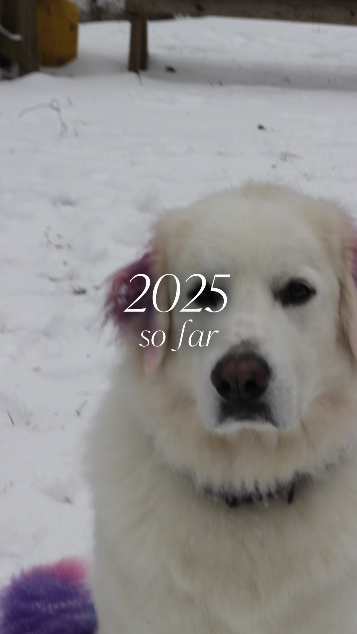 2025 bis jetzt