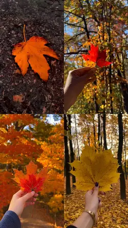 Autumn leaves